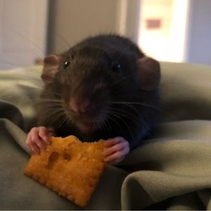 Meet your Posher, Tom